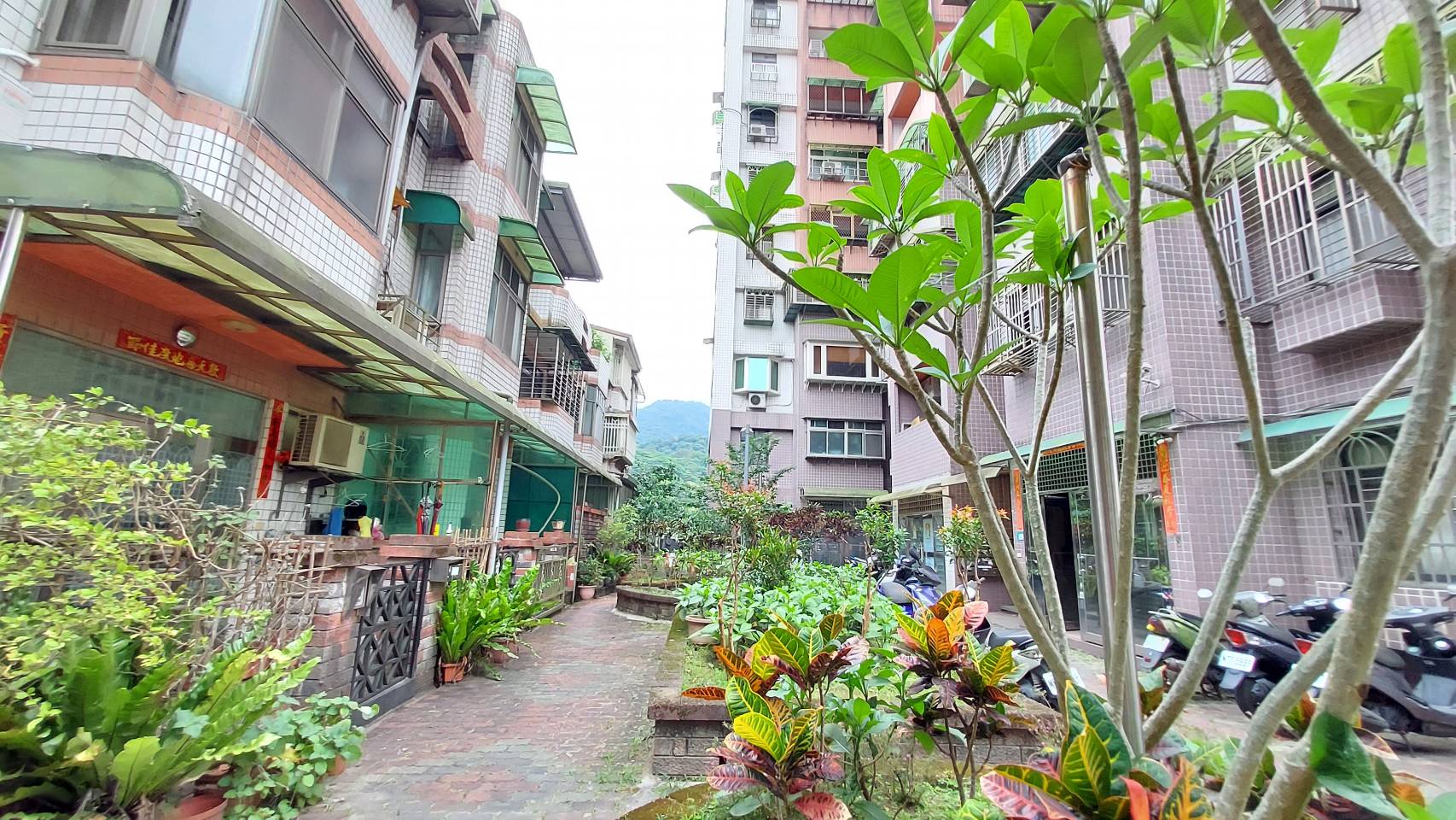 美墅家-實價登錄、成交行情-新店安坑-新店區安康路三段561巷,總樓高10樓,共51戶-新店房仲推薦-新店中古屋